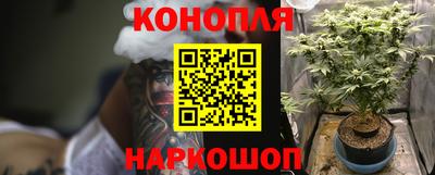 дживик Сланцы