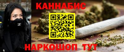 соль ск Славгород